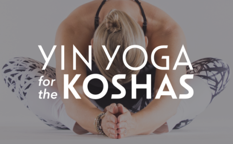 Yin-Yoga-Koshas-Lead-sq-6c1544a189b2efd4f80dbe75e1d97c6c